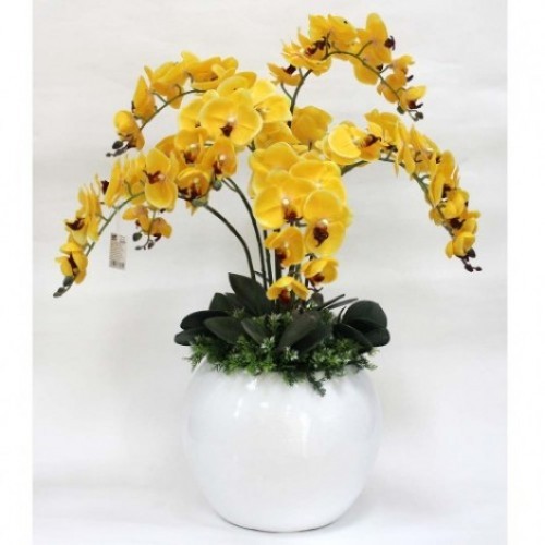 Golden Orchid Planter