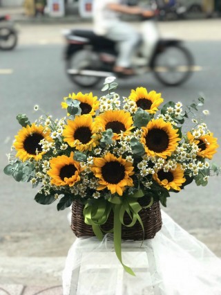 Bac Tan Uyen Congratulation Flower Basket 05