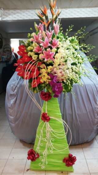 Flower Opening Binh Duong