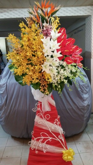 Flower Opening Binh Duong