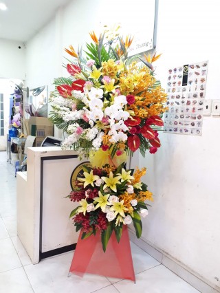 Flowers Opened In Binh Duong