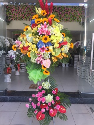 Flowers Opened In Binh Duong
