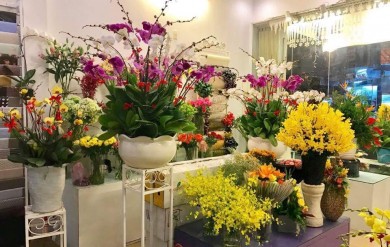 Flower Binh Duong