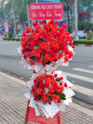 Bac Tan Uyen Congratulation Flower Shelf 12